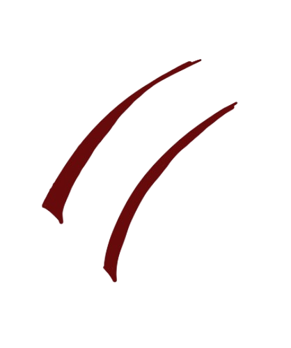 Barata 1